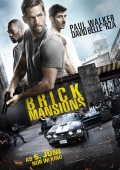 Cover zu Brick Mansions (Brick Mansions)