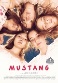 Cover zu Mustang (Mustang)