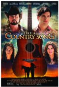 Cover zu Das Leben ist wie ein Countrysong (Like a Country Song)
