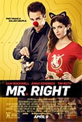 Cover zu Mr. Right (Mr. Right)