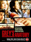 Cover zu Grey's Anatomy (Greys Anatomy)