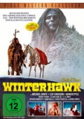 Cover zu Winterhawk (Winterhawk)