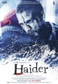 Cover zu Haider (Haider)