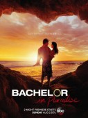 Cover zu Bachelor in Paradise (Bachelor in Paradise)