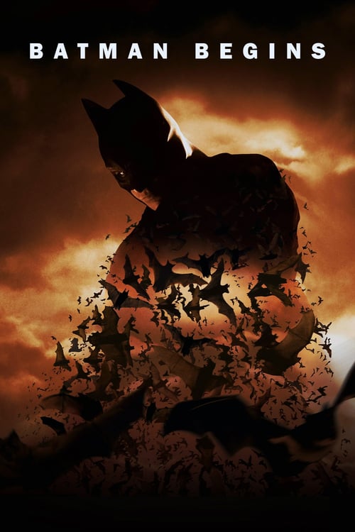 Cover zu Batman Begins (Batman Begins)