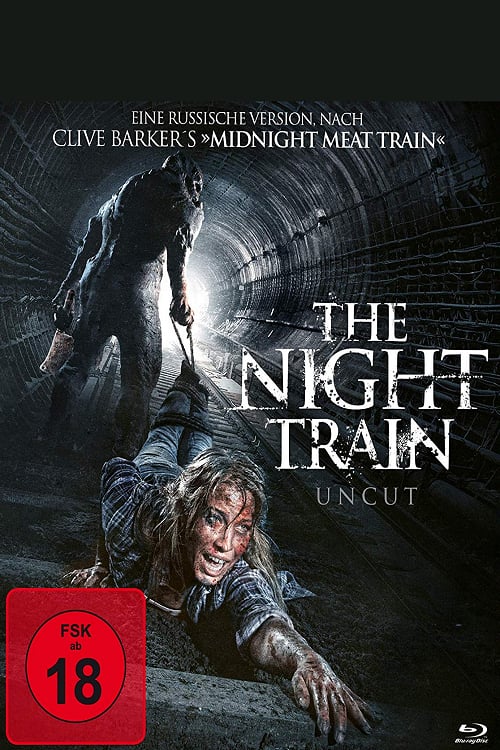Cover zu The Night Train (Diggery)