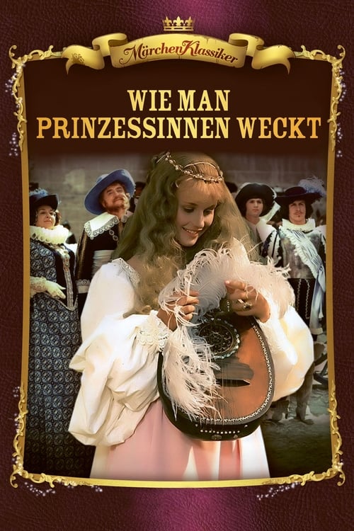 Cover zu Wie man Dornröschen wachküsst (Jak se budí princezny)