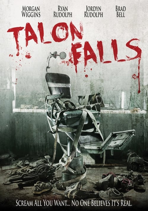 Cover zu Talon Falls (Talon Falls)