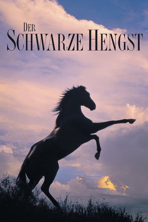 Cover zu Der schwarze Hengst (The Black Stallion)