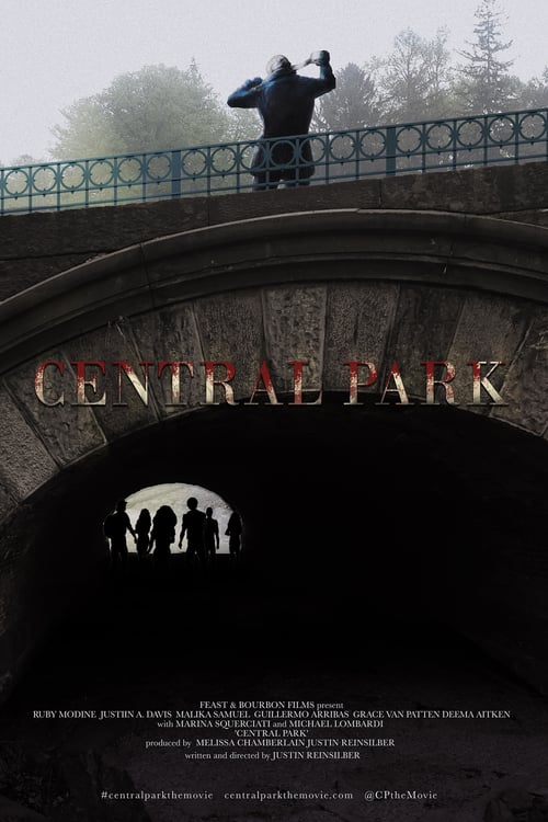 Cover zu Central Park - Massaker in New York (Central Park)