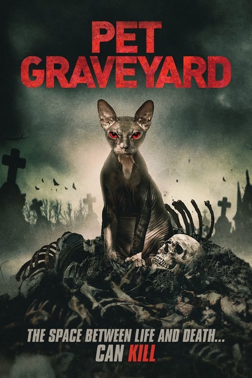 Cover zu Friedhof am Ende der Welt - Pet Graveyard (Pet Graveyard)