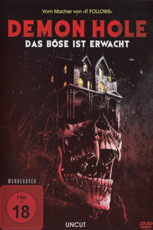 Cover zu Demon Hole - Das Böse ist erwacht (Demon Hole)