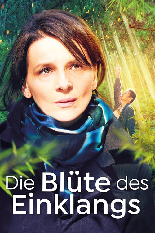 Cover zu Die Blüte des Einklangs (Vision)