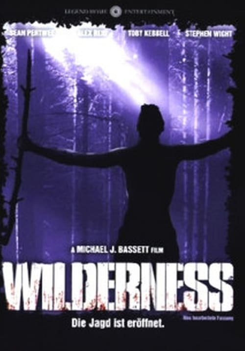 Cover zu Wilderness (Wilderness)