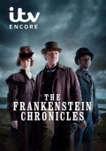 Cover zu Frankenstein Chronicles, The (Frankenstein Chronicles, The)