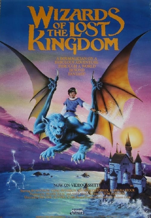 Cover zu Ein Königreich vor unserer Zeit - Der Zauberring (Wizards of the Lost Kingdom)