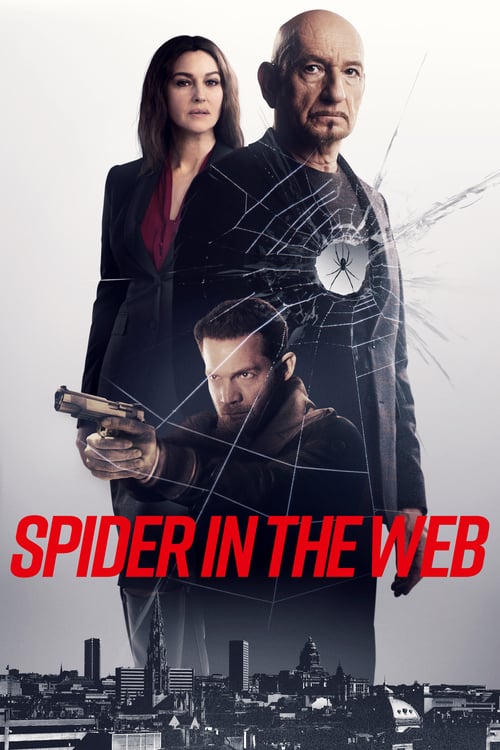 Cover zu Spider in the Web (Spider in the Web)