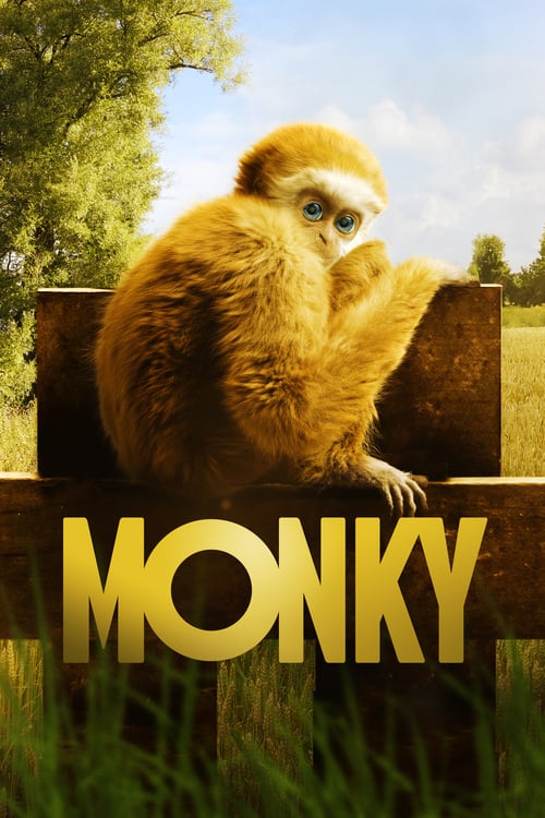 Cover zu Monky: Kleiner Affe, großer Spass (Monky)