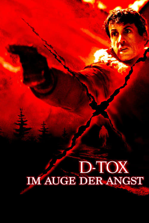 Cover zu D-Tox - Im Auge der Angst (Eye See You)