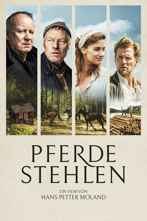 Cover zu Pferde stehlen (Out Stealing Horses)