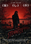 Cover zu The Stranger (The Stranger)