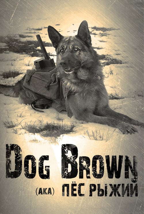 Cover zu The War Dog - Ihre letzte Hoffnung (Pyos Ryzhiy)