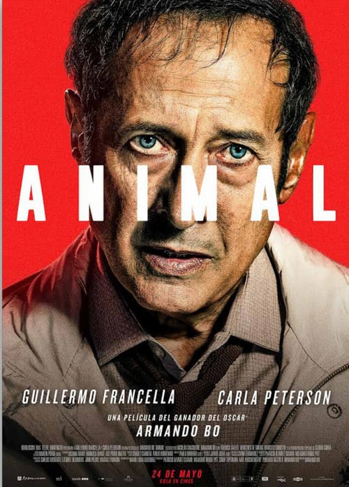 Cover zu Animal (Animal)
