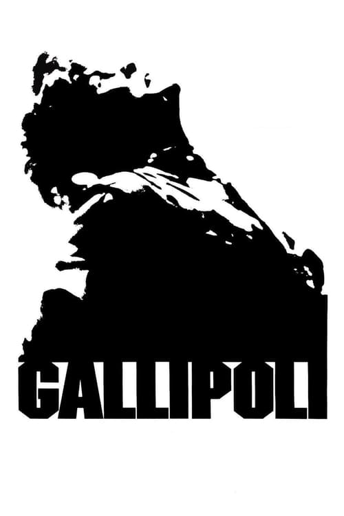 Cover zu Gallipoli (Gallipoli)