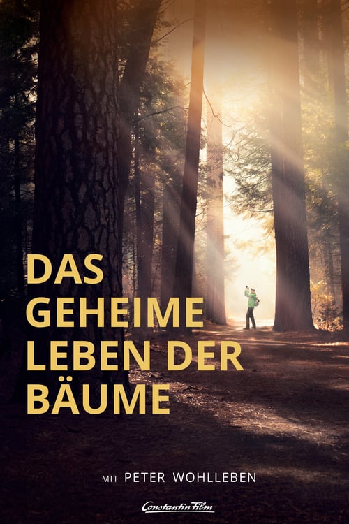 Cover zu Das geheime Leben der Bäume (Das geheime Leben der Bäume)