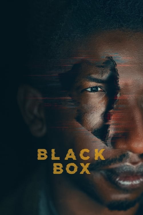 Cover zu Black Box (Black Box)