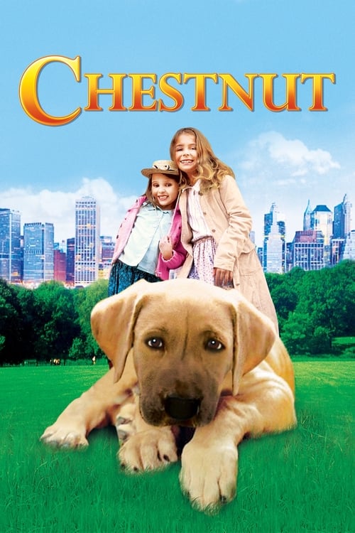 Cover zu Chestnut - Der Held vom Central Park (Chestnut: Hero of Central Park)