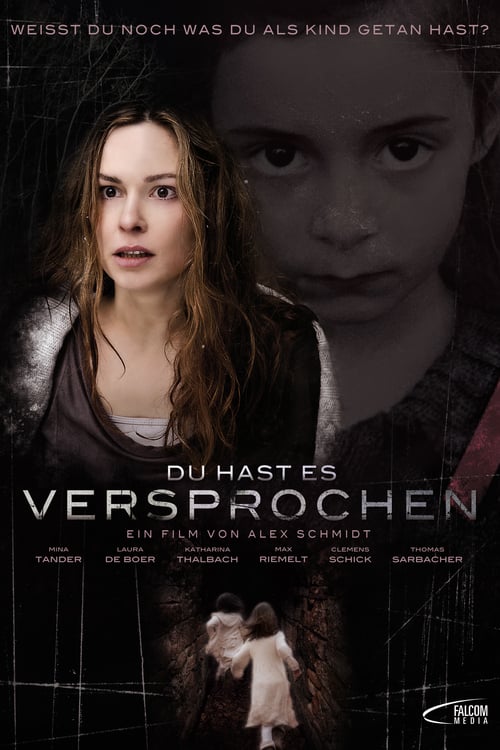 Cover zu Du hast es versprochen (Forgotten)